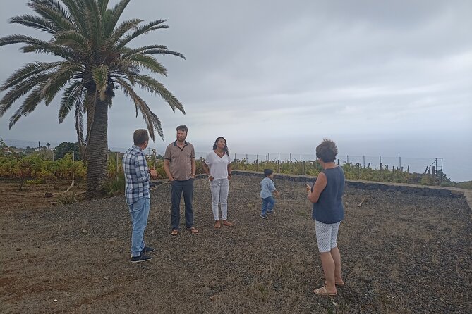 Custom Private Tenerife Full Island Car Tour - Customer Reviews