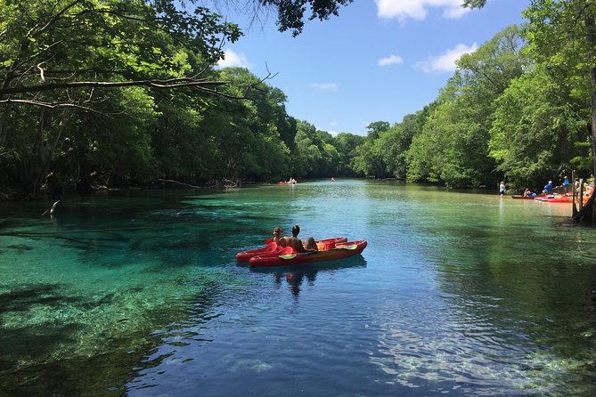 Cypress Springs Eco Adventure - Tour Activities and Duration