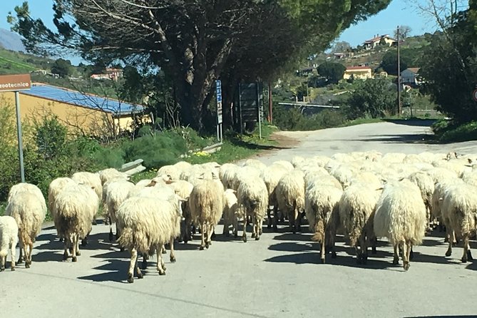 Daily Biking in the Rural Sicily - Meeting and Starting Point