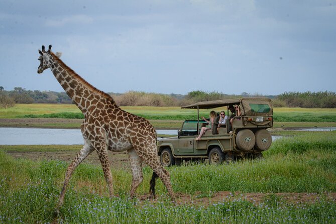 Day Safari Tour Selous Game Reserve - Tour Inclusions