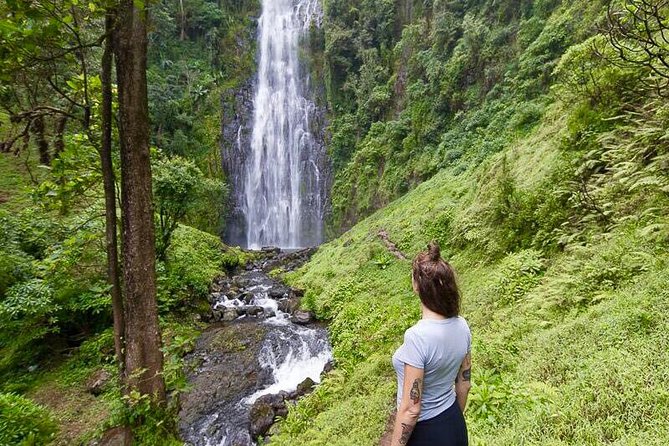 Day Trip Coffee Tour and Materuni Waterfalls - Exploring Materuni Village