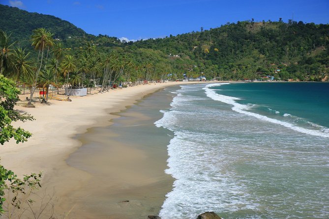 Day Trip to Maracas Beach - Culinary Highlights