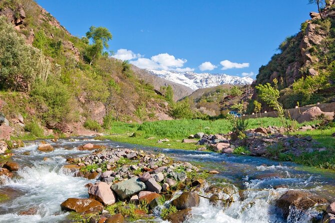 Day Trip to Ourika Valley From Marrakech With Lunch - Experiencing Berber Culture