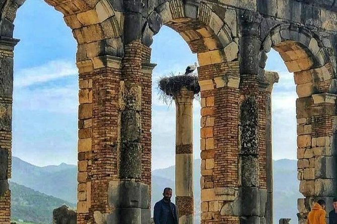 Day Trip To : Volubilis / Moulay Idriss / Mekness - Highlights of Volubilis