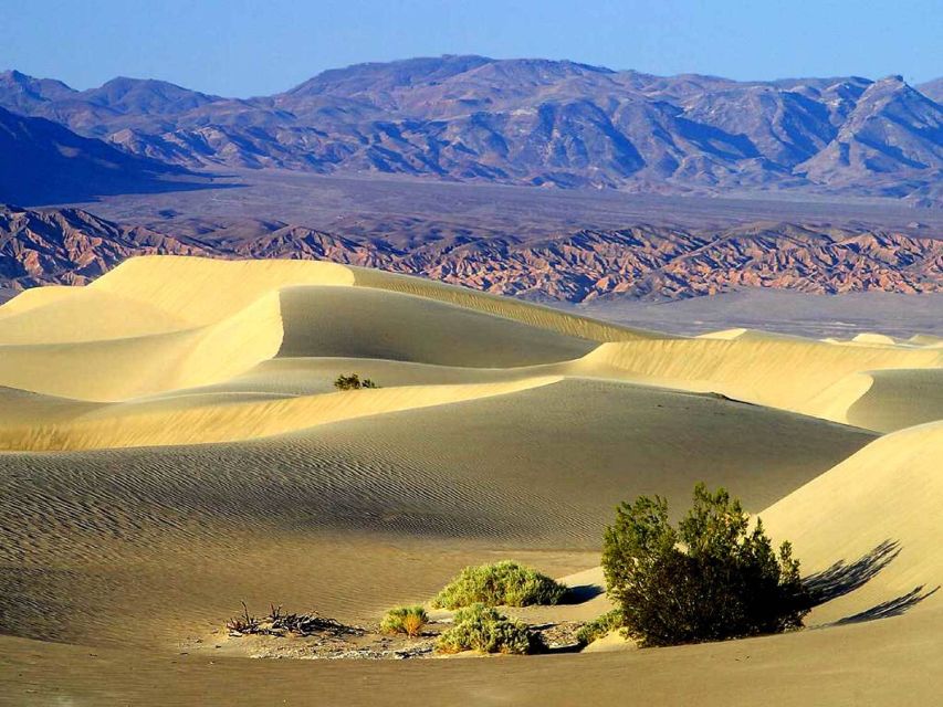 Death Valley: Full–Day Tour From Las Vegas - Highlights of the Tour