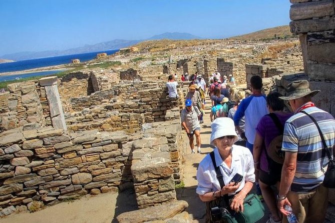 Delos Day Trip From Mykonos - Included in the Tour