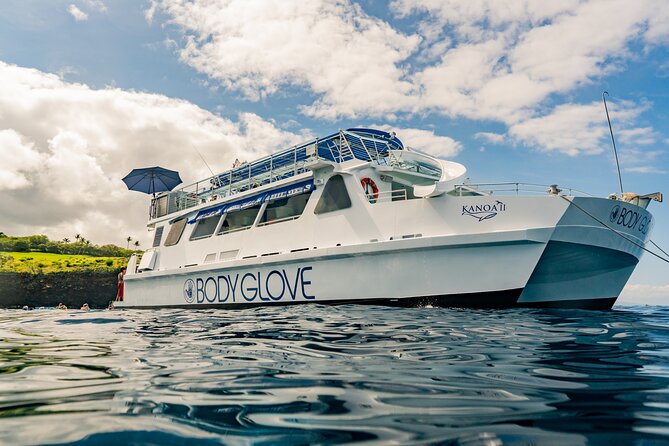 Deluxe Snorkel & Dolphin Watch Aboard a Luxury Catamaran From Kailua-Kona - Inclusions and Amenities