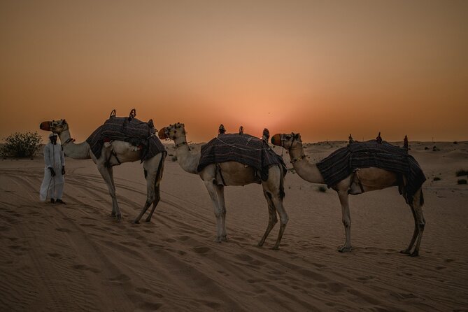 Deluxe Sunset Desert Safari: Sandsurfing, Camel Ride & BBQ Dinner - Dune Bashing Experience