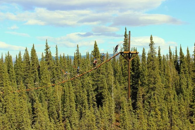 Denali Park Zipline Adventure - Safety and Requirements