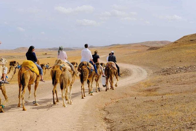 Desert Glow: Exclusive Sunset Camel Trek With Dinner in Agafay - Pricing and Booking