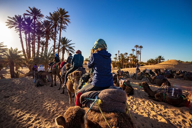 Desert Odyssey: 2 Days _ Marrakech to Merzouga Expedition - Included Experiences