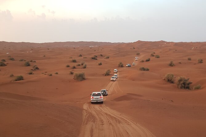 Desert Safari Dubai & Quad Bike With Dinner - Pickup and Transportation Details