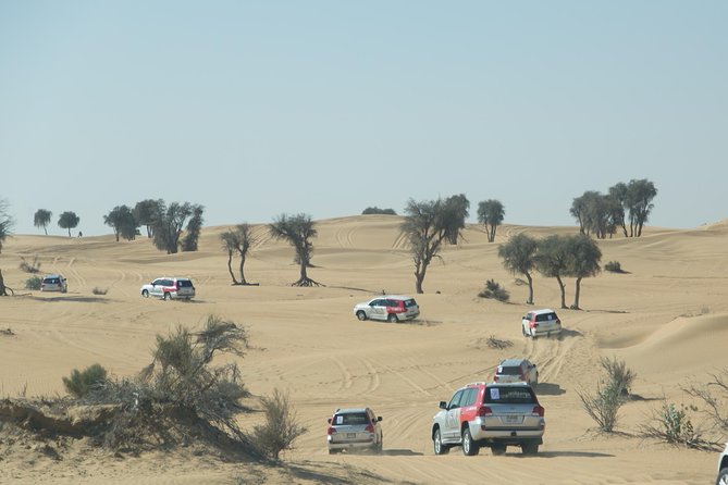 Desert Safari in Dubai With Full Package - No Hidden Cost - Included Activities