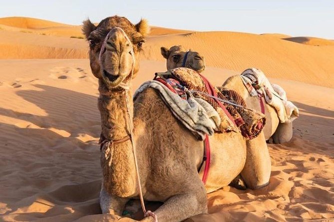 Desert Safari Sharing Tours - Pickup Information