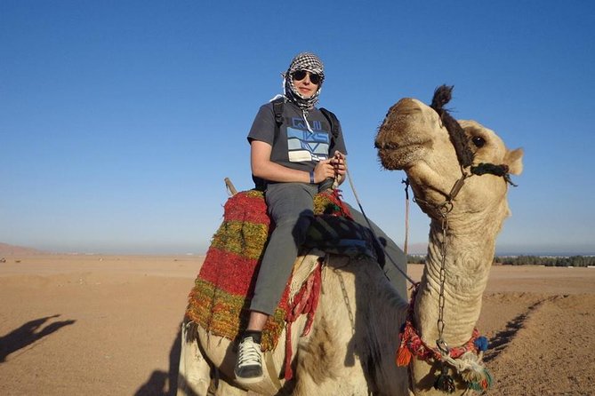 Desert Safari Tour by ATV Quad Bike and Camel Ride - Hurghada - Inclusions