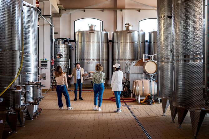 Di Giovanna Winery Tour & 5 Wine Tasting - Wine and Food Tasting Details