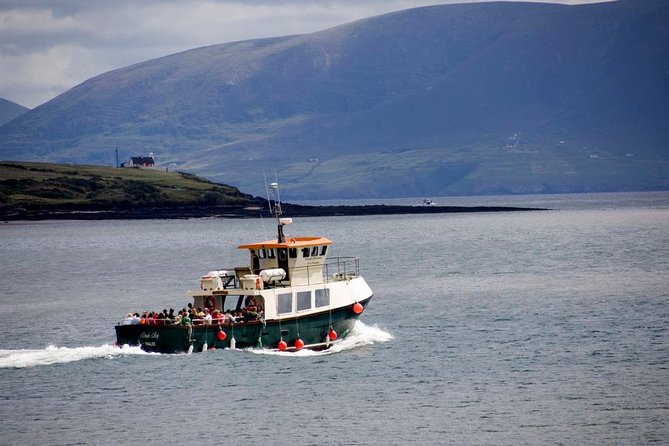 Dingle Peninsula Day Tour From Limerick: Including the Wild Altanic Way - History and Natural History Insights