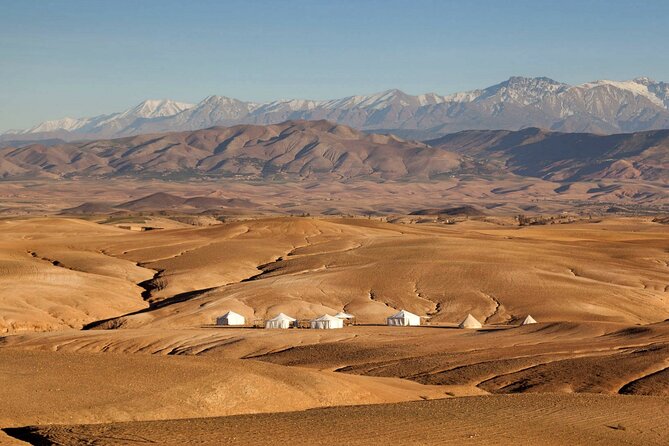 Dinner Show in Agafay Desert With Quad Bike & Camels - Accessibility and Transportation