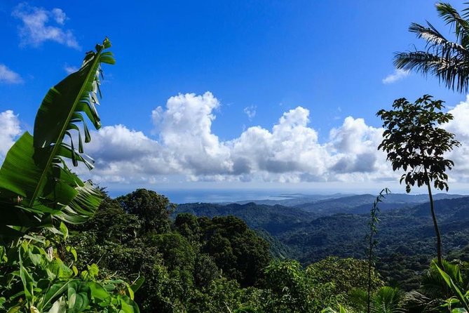 Discover El Yunque: Half-Day Rainforest Tour - Exclusions