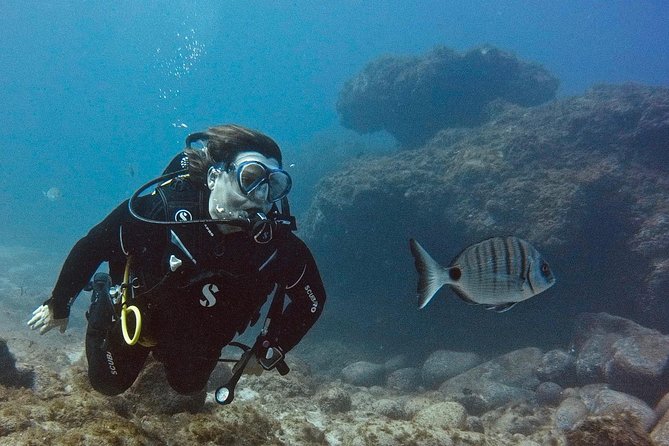 DISCOVER SCUBA DIVING - First Step to Your Certification - Meeting Point and Pickup