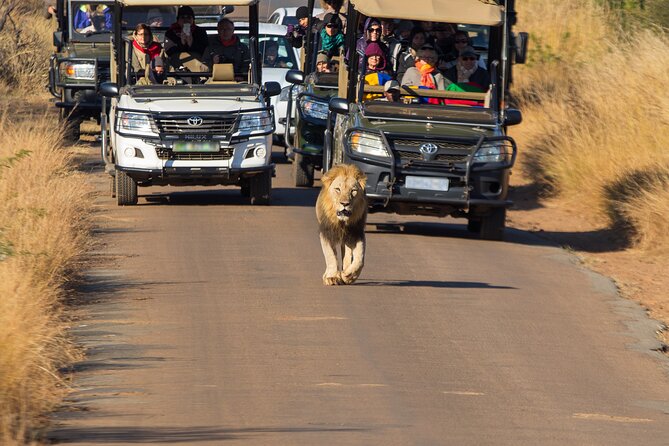 Discover the Pilanesberg With a Personalized Full Day Safari - Pilanesberg National Park Exploration