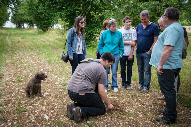 Discovery of the World of Truffles and Tasting - The Hunt With a Local Expert