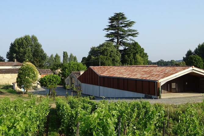 Discovery Visit of Château Rol Valentin With Tasting - Whats Included