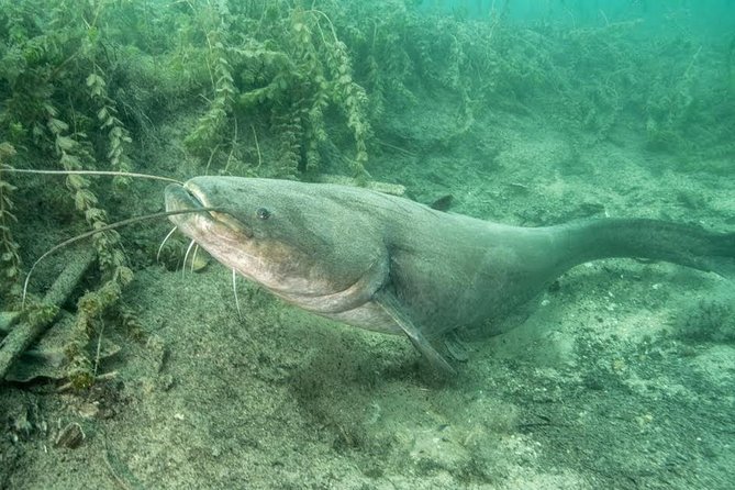 Diving in Bled - Amenities and Equipment Provided