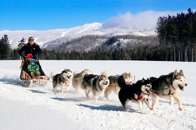 Dogsled Adventure in Mont-Tremblant - Admiring Winter Scenery