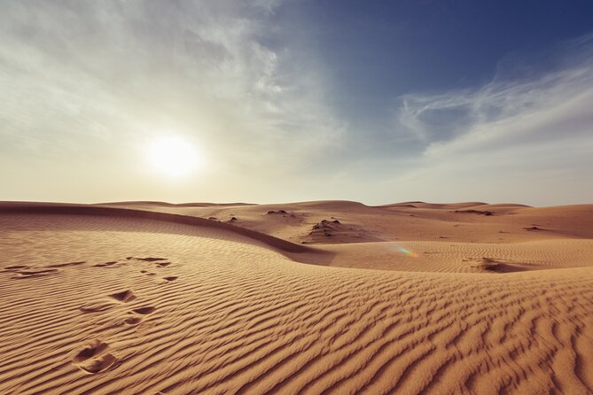 Doha Private Half-Day Guided Desert Safari Tour - Included Activities