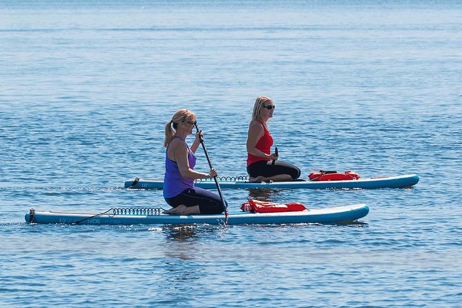 Dolphin and Manatee Stand Up Paddleboard Tour in Daytona Beach - Participant Guidelines