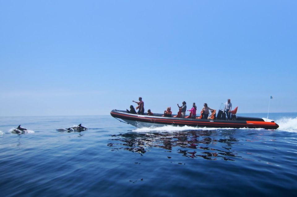 Dolphin Safari and Cave Tour in Vilamoura - Experience Highlights