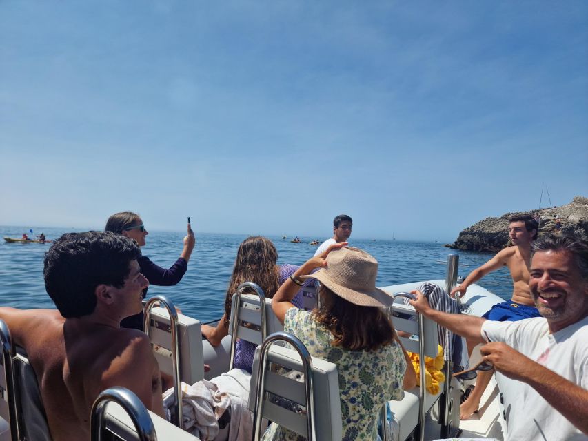 Dolphin Watching: Sesimbra / Arrábida Natural Park - Experience and Itinerary