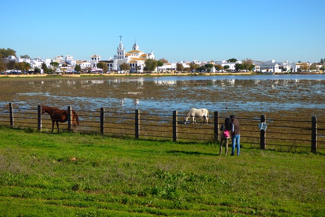 Doñana National Park in 4x4 and El Rocío - Participant Information