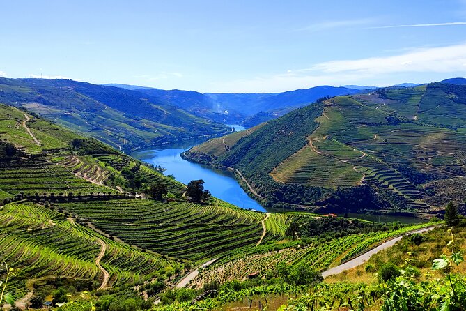 DOURO TOURS - in Pinhão 1 Day All Inclusive 135€, DOURO Valley - Meeting & Pickup