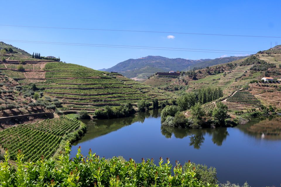 Douro Valley: Douro Valley Tour Including 3 Wineries - Inclusions