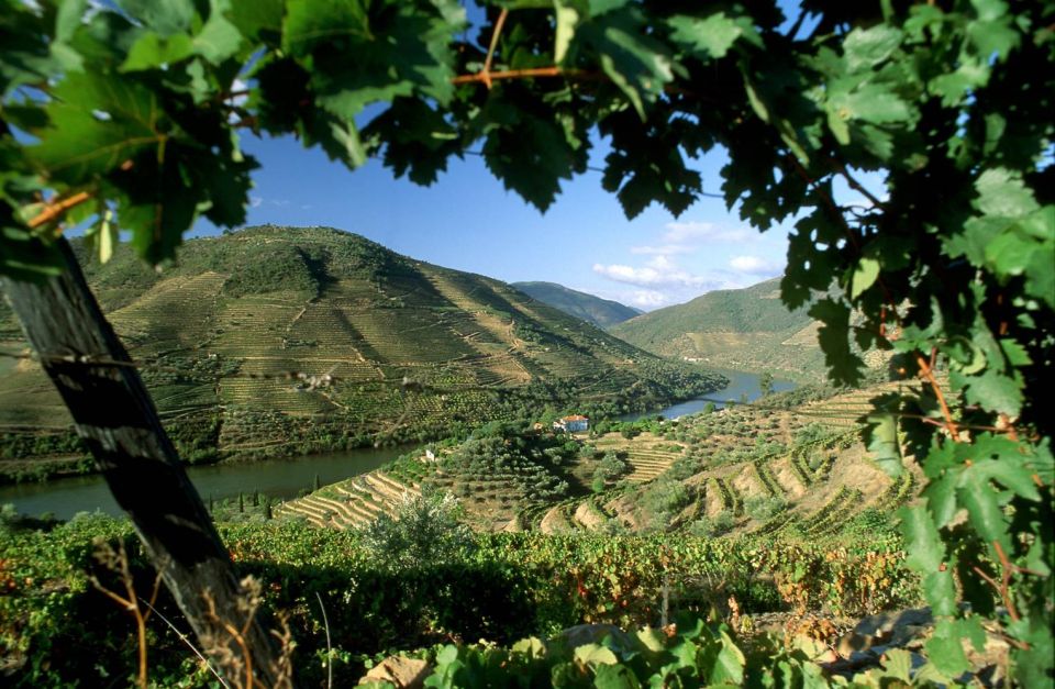 Douro Valley: Full-Day Private Tour From Porto - Savor Delicatessens of the Region