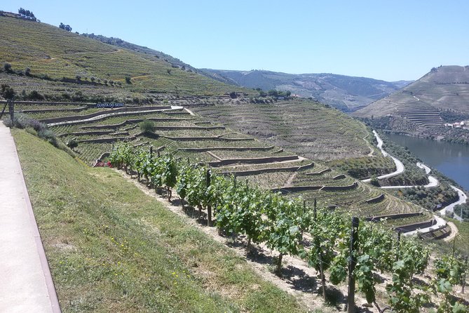 Douro Valley Private Premium Tour With Wine Tasting (1 to 4 People) - Confirmation and Accessibility