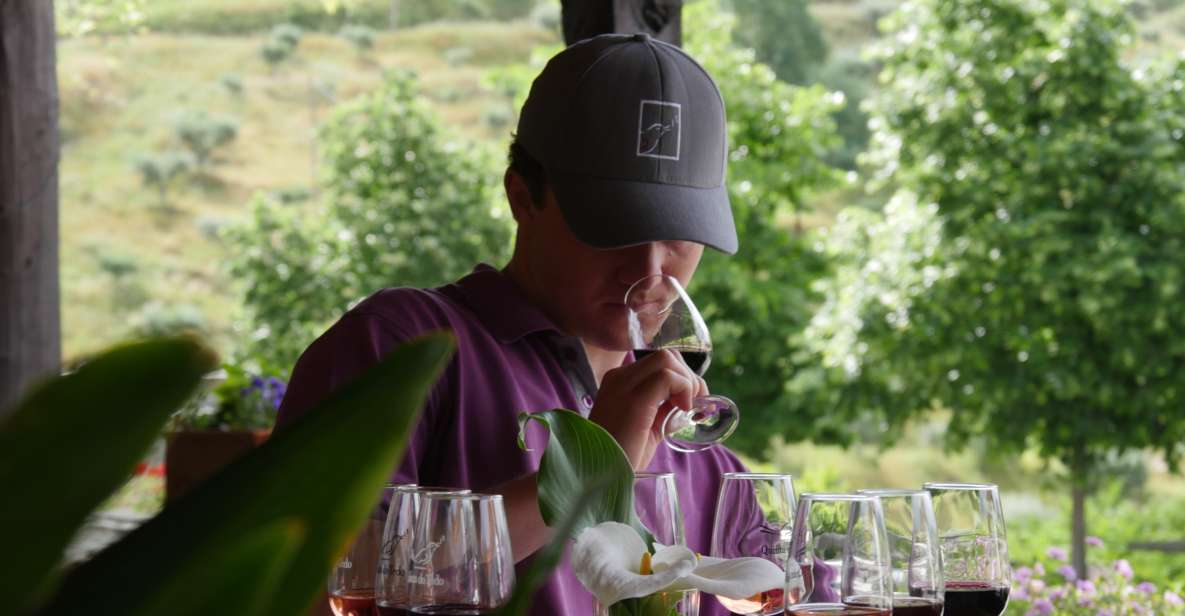 Douro Valley: Quinta Do Tedo Winery Tour and Tasting - Experience Highlights