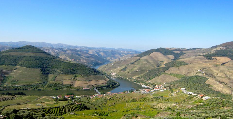 Douro Valley Semi-Private Tour With Two Wineries and Lunch - Itinerary Highlights