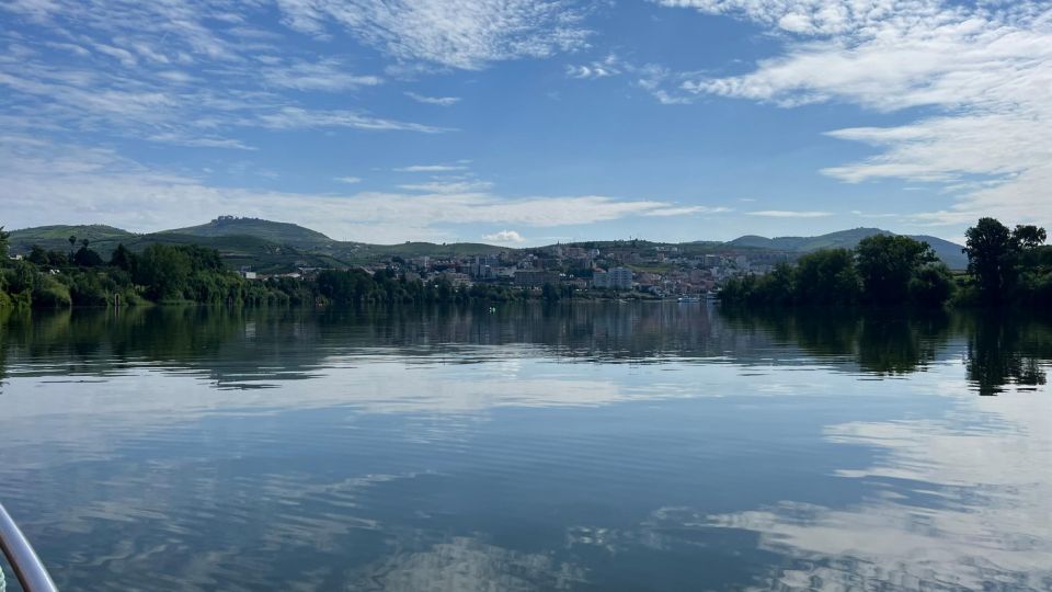 Douro Valley Tour - Pickup and Transportation