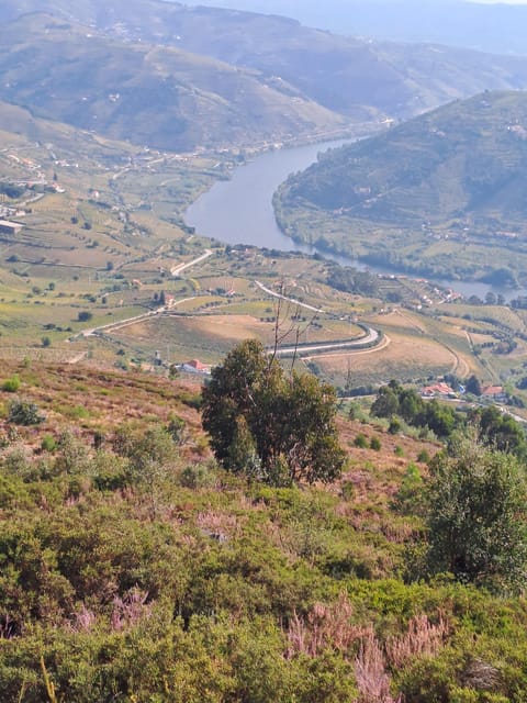 Douro Valley Tours, Braga Guimarães, Santiago De Compostela - Tour Details