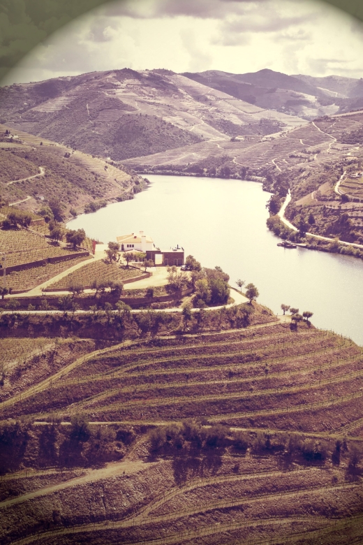 Douro Valley Vineyards Full-Day Tour From Porto - Transportation