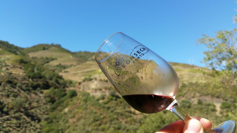 Douro Valley Wine Tasting From Porto - Itinerary Overview