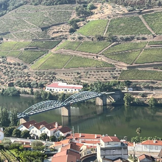 Douro Valley With a Local - Tasting Day, All Included - Experiences Offered