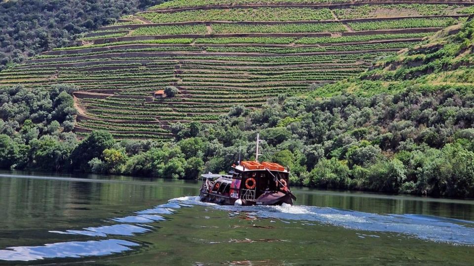 Douro Valley:Expert Wine Guide,Boat, Wine, Olive Oil & Lunch - Itinerary