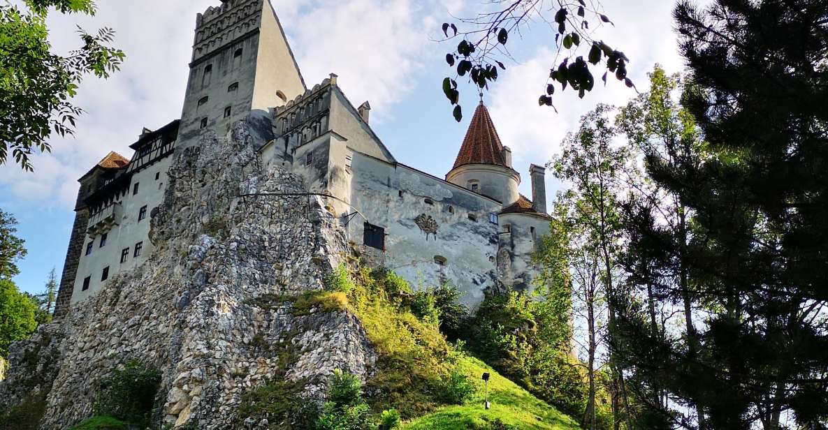 Dracula: 1-Day Private Castle Tour - Itinerary Highlights