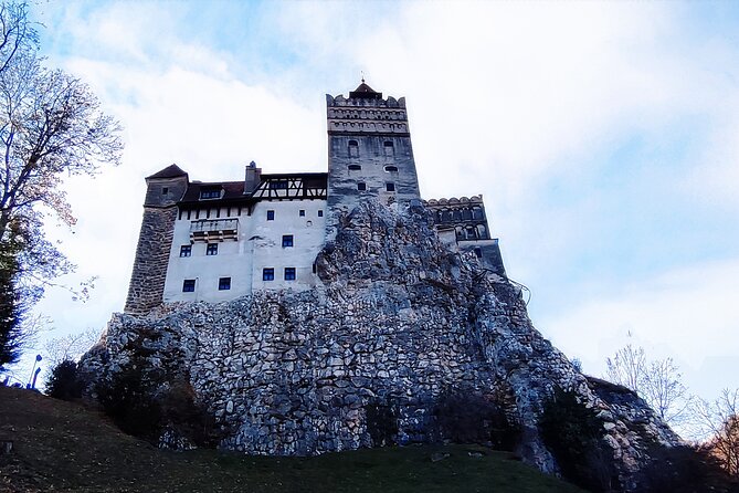 Dracula Castle Private Tour With Peles Castle and Brasov City - Pickup and Accessibility