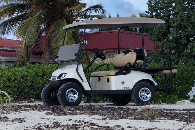 Drive GDT - Golf Cart Rentals - Rental Options