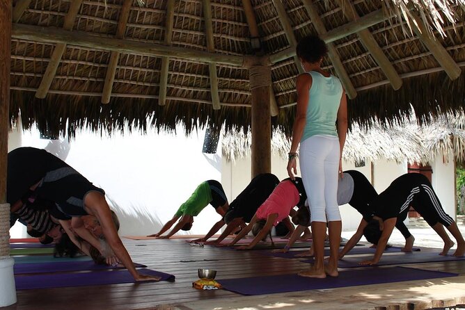 Drop-In Group Yoga Class - Punta Cana - Meeting and End Point